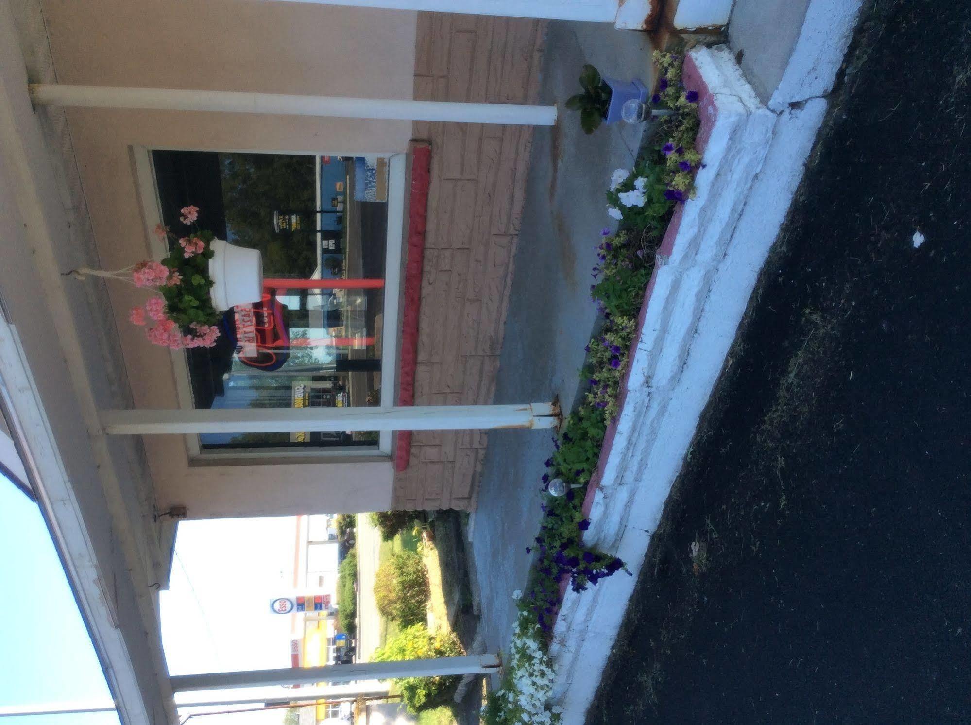 Palace Inn Motel Sarnia Bagian luar foto
